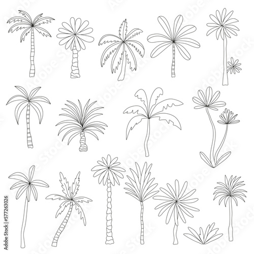 Palm set doodle illustration. Vector illustration. Black on white