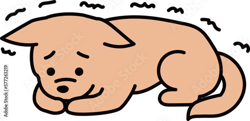震える犬