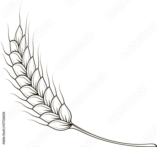 wheat