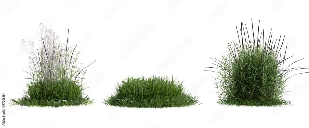 Collection green grass on transparent background 3d rendering png Collection green grass on transparent background 3d rendering png