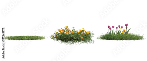 Fotografiet Collection green grass on transparent background 3d rendering png
