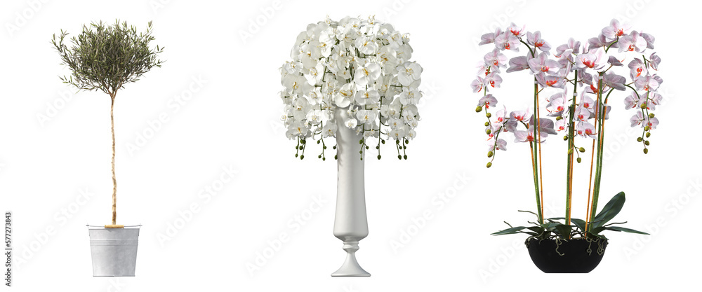Fototapeta premium decorative flowers and plants for the interior, isolated on white background, 3D illustration, cg render