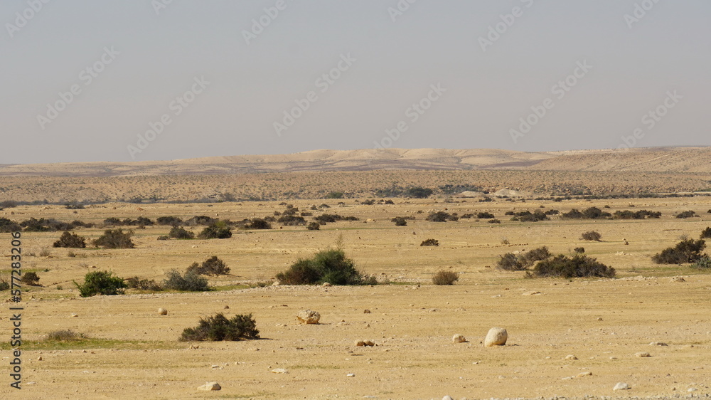 Desert  nature landscape. Negev. Israel