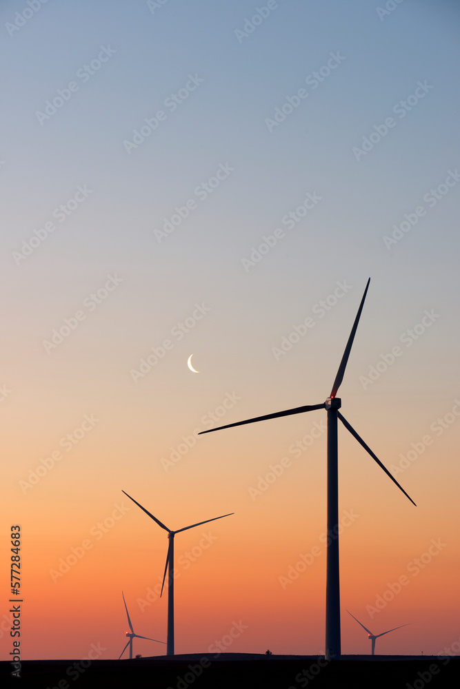 Silhouettes of a group of wind turbines at sunrise. Silhouettes of a group of wind turbines at sunrise.