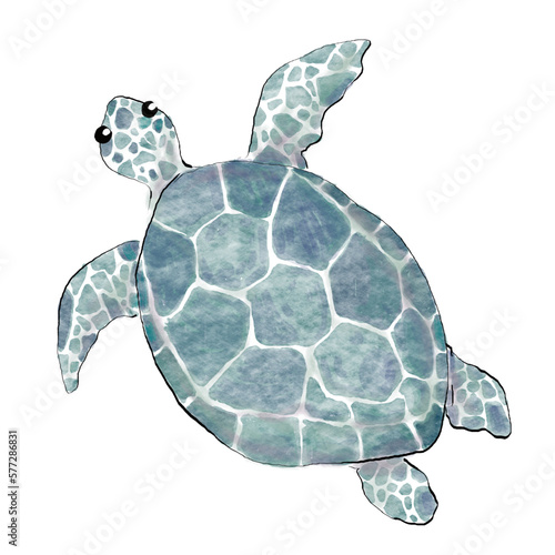 A turtle sea animal ocean watercolor painting style vector isolated on white background