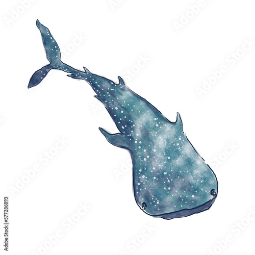 a whale shark watercolor painting vector isolated on white color background