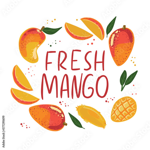 The inscription fresh mango. A collection of different types of mango. Ingredients for cooking. Vegan print. Vector hand-drawn illustration. Frame with fruits.