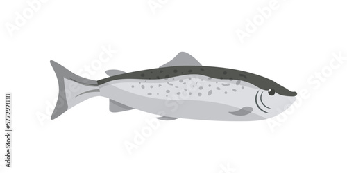 Salmon, marine fish, fresh healthy seafood, protein food menu of restaurant shop market