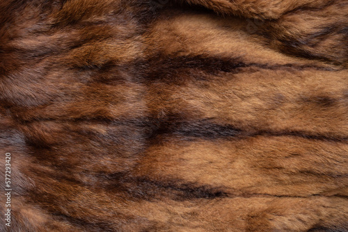 Brown fur coat texture, abstract animal skin pattern