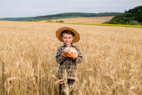 A little boy in a hat is holding bread while standing in a wheat field. Agriculture  farming