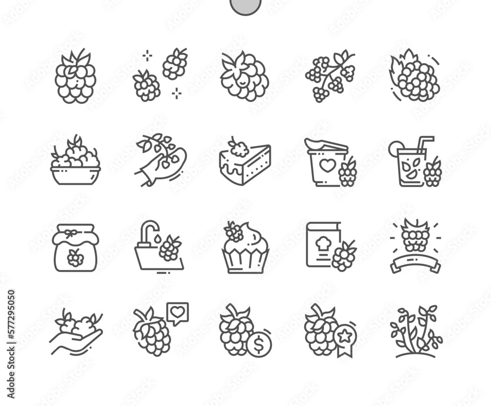 Fototapeta premium Raspberry fruit. Cooking, recipes and price. Raspberry jam. Food shop, supermarket. Menu for cafe. Pixel Perfect Vector Thin Line Icons. Simple Minimal Pictogram