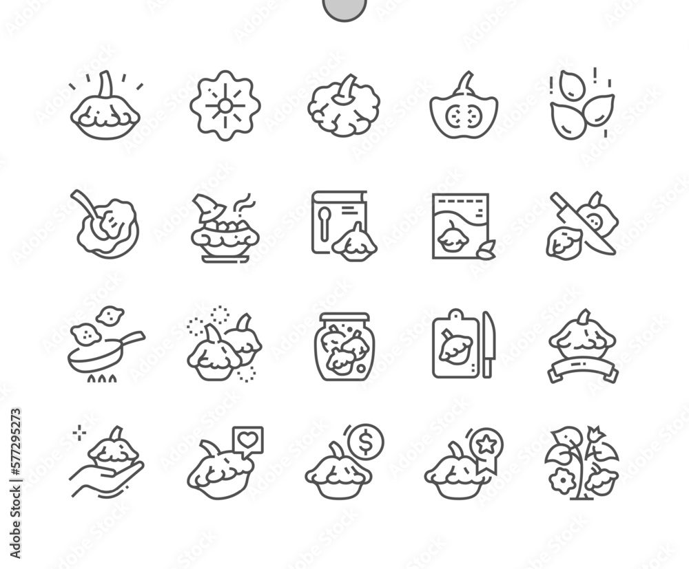 Pattypan squash. Nature vegetable organic food nutrition. Cooking, recipes and price. Menu for cafe. Pixel Perfect Vector Thin Line Icons. Simple Minimal Pictogram
