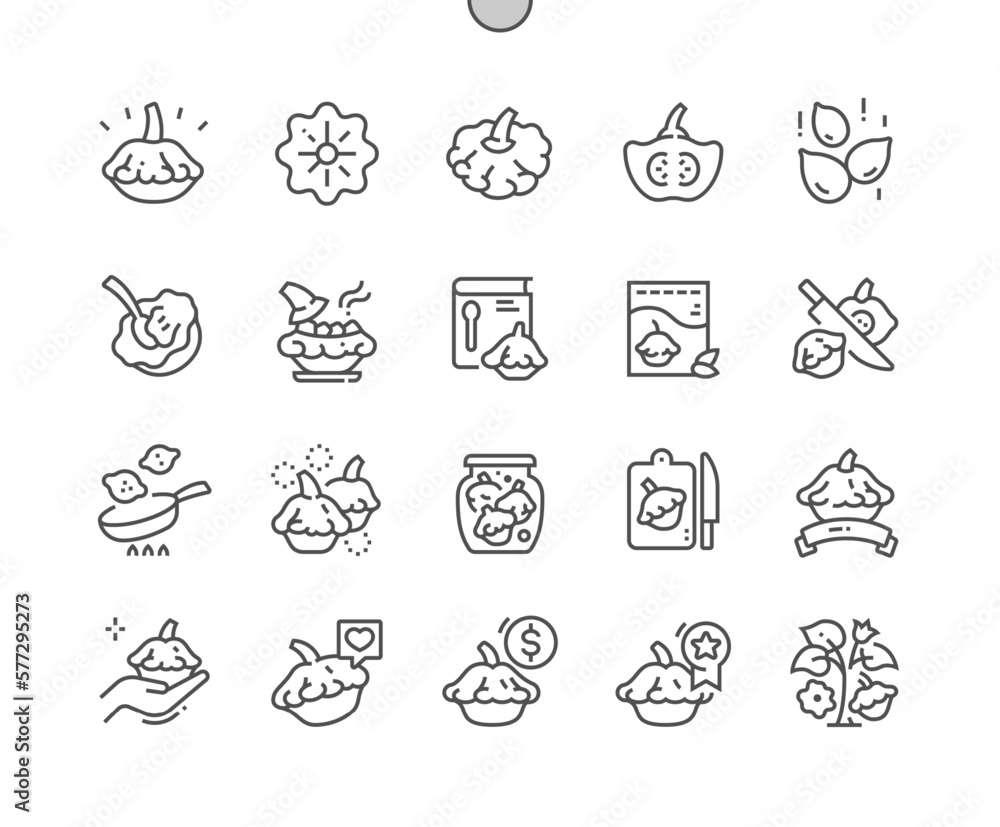 Pattypan squash. Nature vegetable organic food nutrition. Cooking, recipes and price. Menu for cafe. Pixel Perfect Vector Thin Line Icons. Simple Minimal Pictogram Pattypan squash. Nature vegetable organic food nutrition. Cooking, recipes and price. Menu for cafe. Pixel Perfect Vector Thin Line Icons. Simple Minimal Pictogram