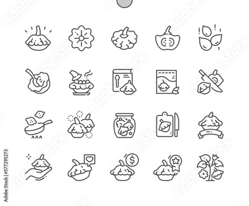 Pattypan squash. Nature vegetable organic food nutrition. Cooking  recipes and price. Menu for cafe. Pixel Perfect Vector Thin Line Icons. Simple Minimal Pictogram