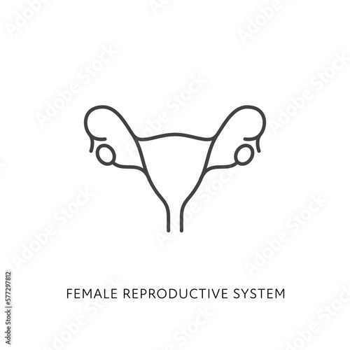 Outline style health care ui icon collection. Vector linear illustration. Internal female reproduction system anatomy symbol isolated on white background. Design for healthcare, gynecology infographic