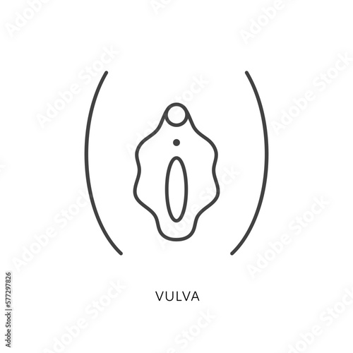 Outline style health care ui icon collection. Vector linear illustration. External female reproduction system anatomy vulva symbol isolated on white. Design for healthcare, gynecology infographic