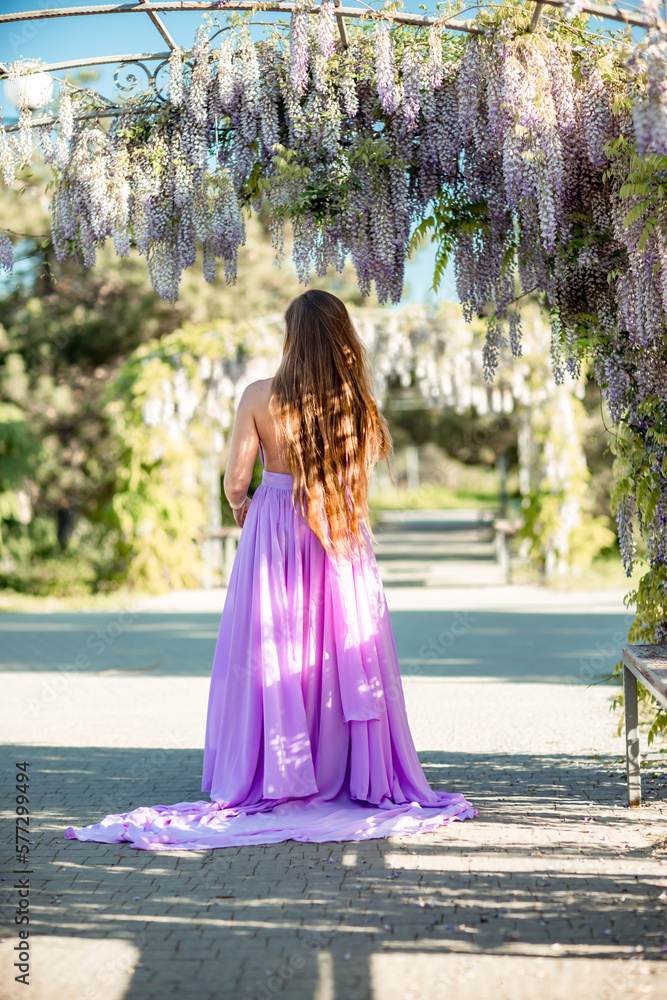Woman wisteria lilac dress. Thoughtful happy mature woman in purple dress surrounded by chinese wisteria