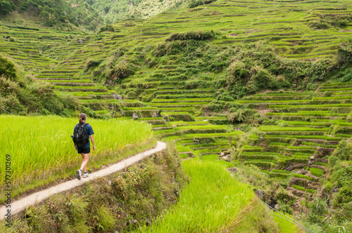 Woman Hiking Through The Maligcong Rice Terrace, Luzon, Philippines photo