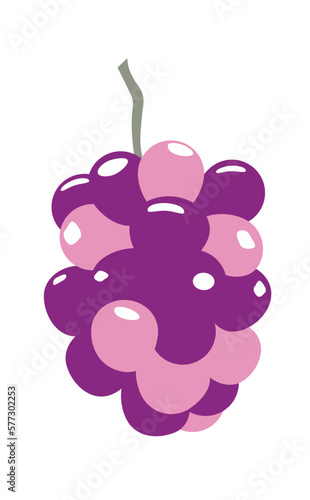 巨峰イラスト　ベクター　ぶどう