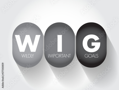 WIG Wildly Important Goals - highly important goals that must be achieved or no other goal matters, acronym text concept background