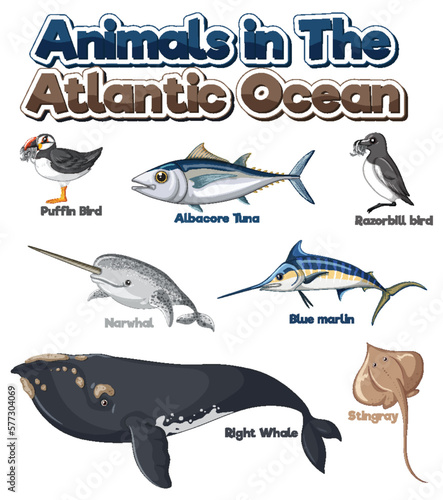 Set of Animals in the Atlantic Ocean