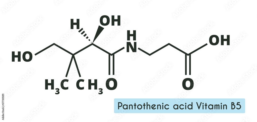 Vitamin B5 or pantothenic acid, pantothenate, molecule. Skeletal formula. Vitamin B5 or pantothenic acid, pantothenate, molecule. Skeletal formula.