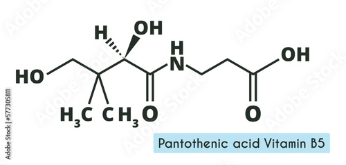 Vitamin B5 or pantothenic acid, pantothenate, molecule. Skeletal formula.