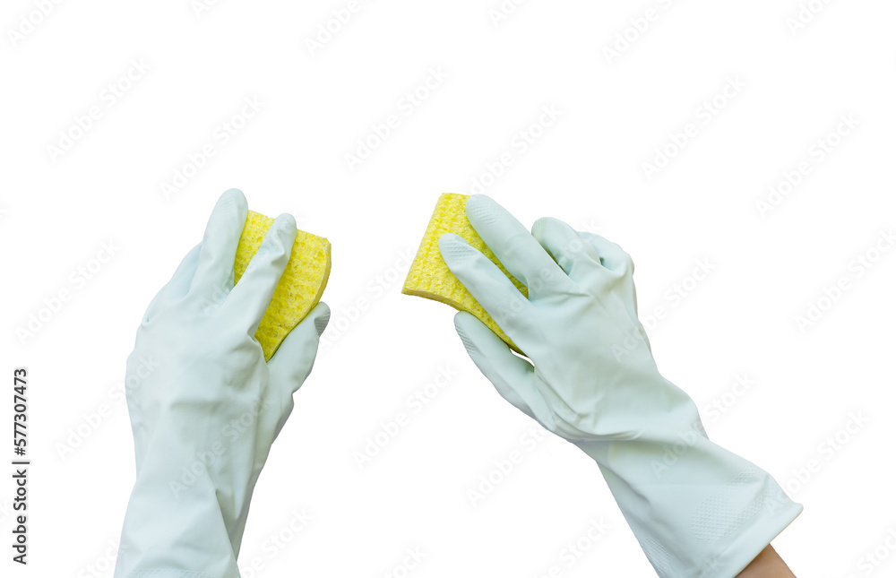 Hands in gloves wash the surface with sponges. Isolate. PNG Hands in gloves wash the surface with sponges. Isolate. PNG