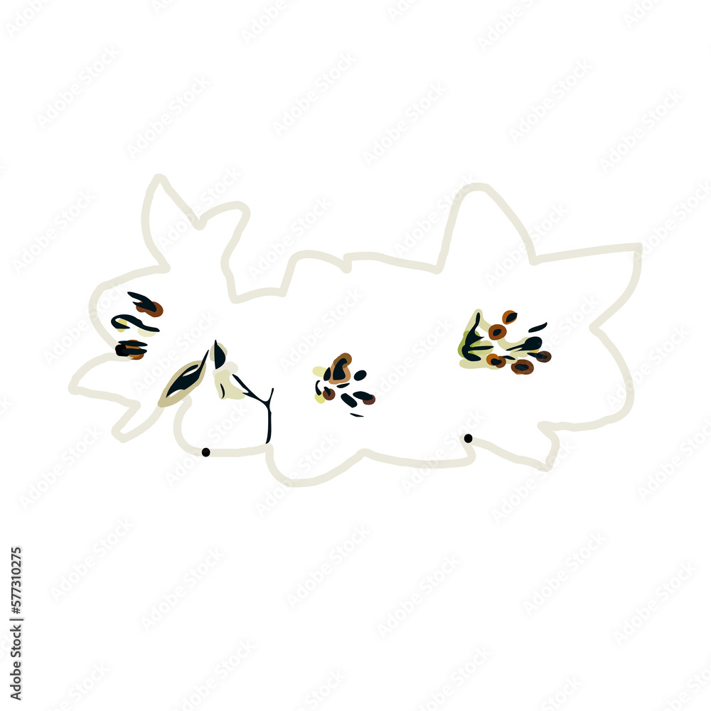 Color sketch of lilies with transparent background Color sketch of lilies with transparent background
