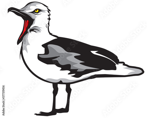 kreischende Möwe als Vektoren