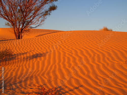 Patterns in red sand of Australian outback desert photo