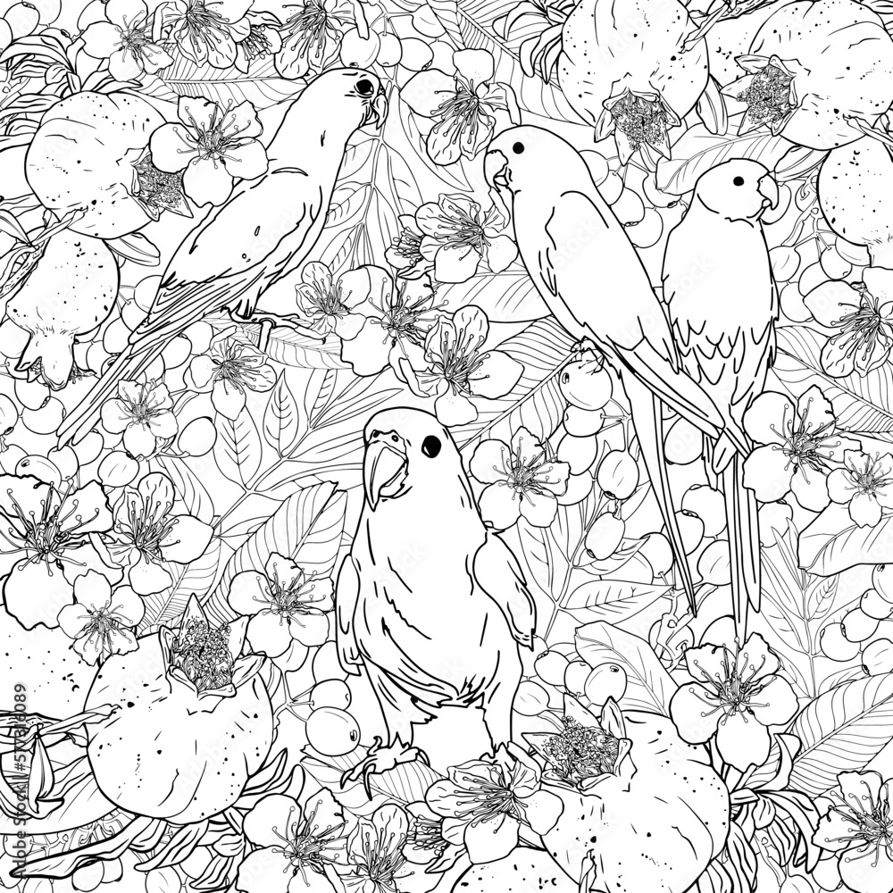 Obraz premium Antistress coloring page. Parrotlet and Parakeet parrots in nature, sit, play. Natural background of flowers, fruits, berries, leaves, pomegranate. For tattoo, coloring, print, clothes, children game