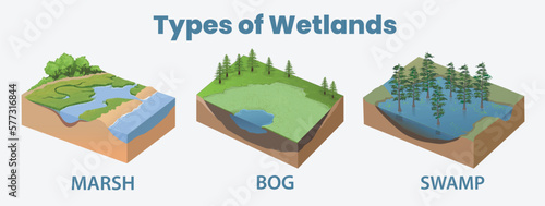 Types of wetlands photo