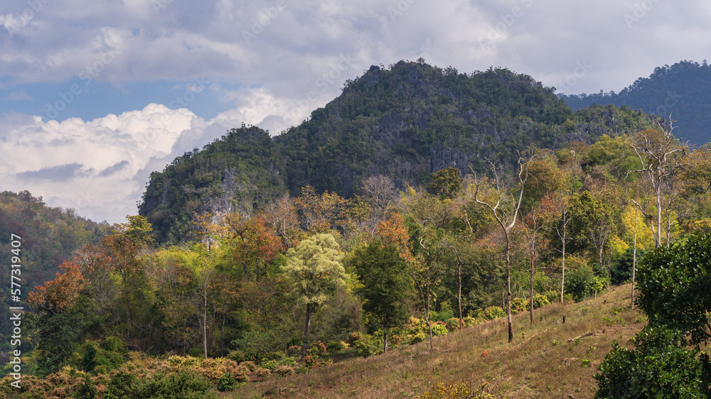 Colorful landscape view with limestone mountain and blooming trees in scenic Chiang Dao rural valley, Chiang Mai, Thailand