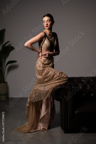 Portrait of a beautiful girl in a luxurious dress. Fashionable look. Studio photo. Black and white photo