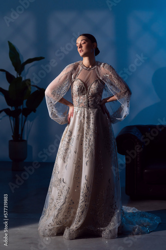 Portrait of a beautiful girl in a luxurious dress. Fashionable look. Studio photo.