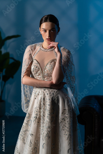 Portrait of a beautiful girl in a luxurious dress. Fashionable look. Studio photo.