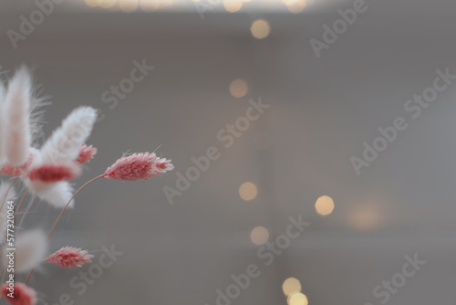 Beautiful flowers composition. Dried flowers on pastel background agains blurred bokeh lights. Floral minimal concept  minimalism style