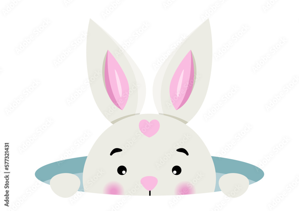 Cute bunny peeking in hole Cute bunny peeking in hole