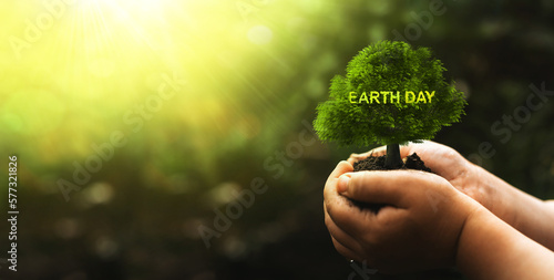 Hands of child holding growing tree. Earth day, environment day concept. Keeping environment clean and efficient.