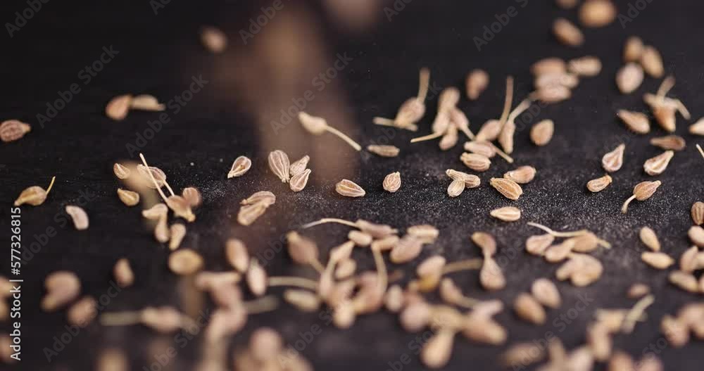 Small, fragrant anise spices on the board, scattered dried anise spices on the table Small, fragrant anise spices on the board, scattered dried anise spices on the table