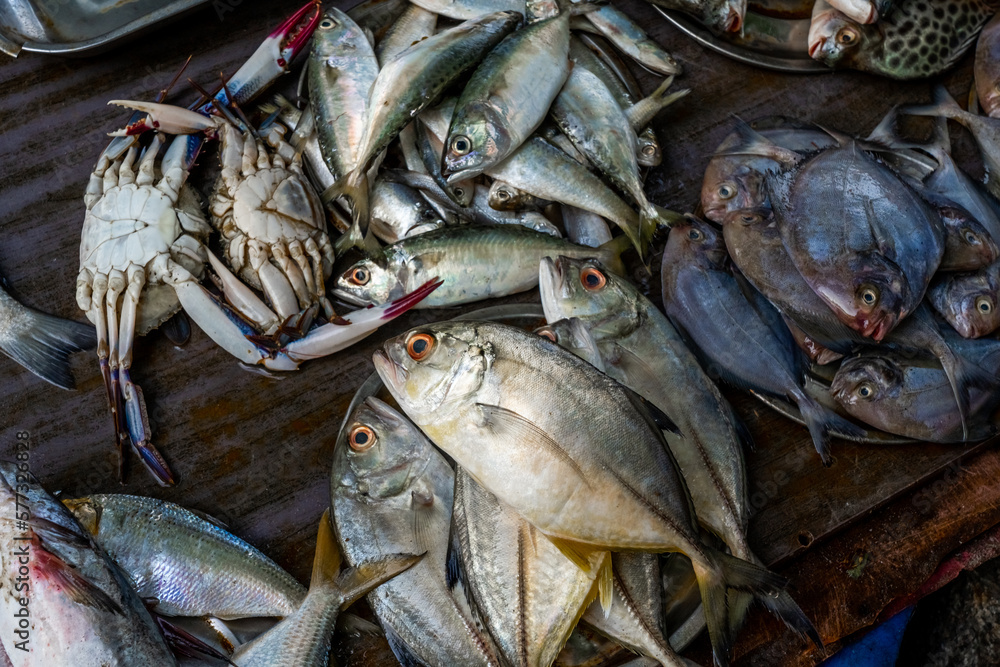 Close up view of fishes in the small market in India. High quality photo