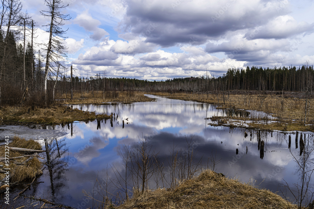 Landscape on the Karelian Isthmus, situated between the Gulf of Finland and Lake Ladoga in northwestern Russia