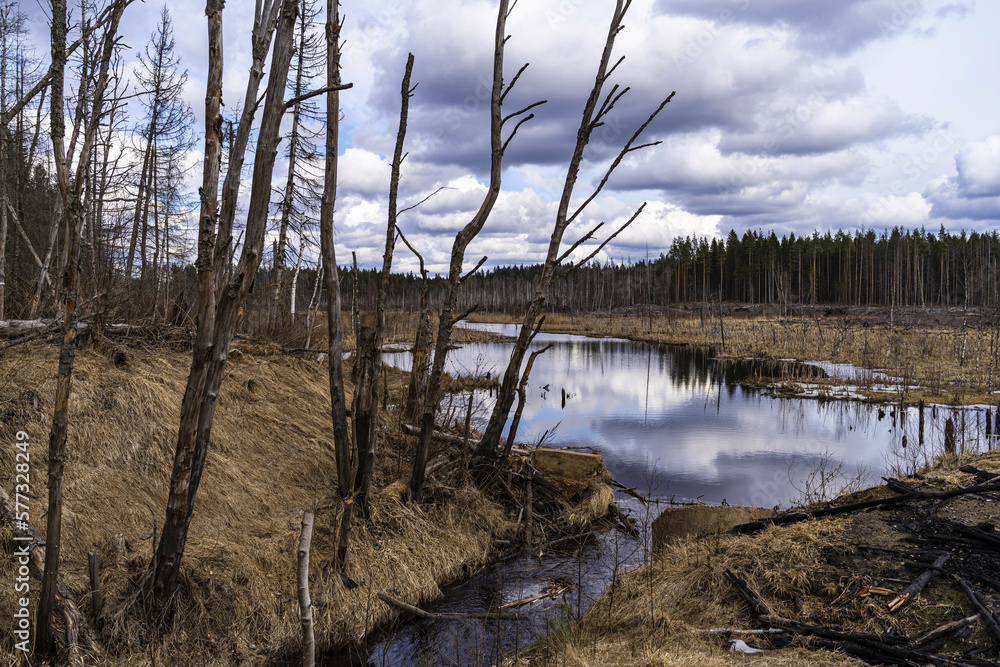 Landscape on the Karelian Isthmus, situated between the Gulf of Finland and Lake Ladoga in northwestern Russia Landscape on the Karelian Isthmus, situated between the Gulf of Finland and Lake Ladoga in northwestern Russia