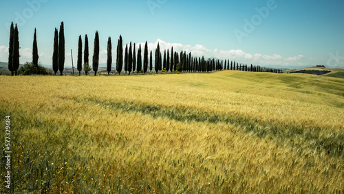 Landschaft der Toskana im Sommer photo