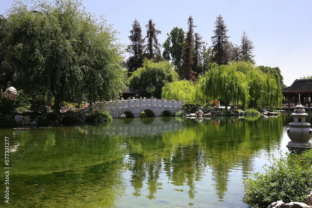 Fototapeta premium pond and flowers in a japanese garden