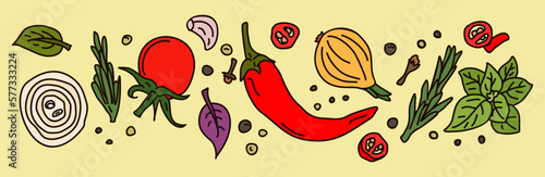 Fototapeta Naklejka Na Ścianę i Meble -  
Spices, vegetables and herbs, background. Sketch design. 