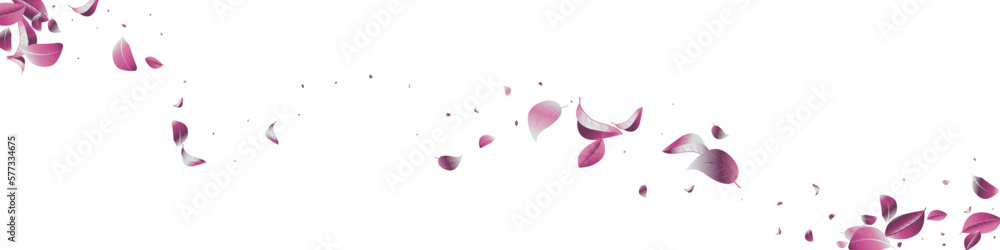 Forest Foliage Tea Vector White Transparent Forest Foliage Tea Vector White Transparent