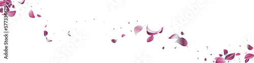 Forest Foliage Tea Vector White Transparent