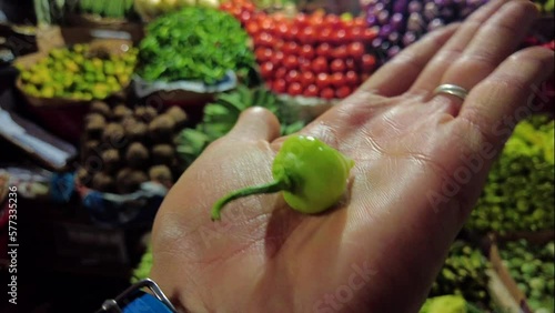 Hot paper The Trinidad Scorpion Butch T on A person hand at a organic grocery market. concept international food